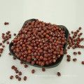 Small red bean,2015 crop,HPS,Hebei origin